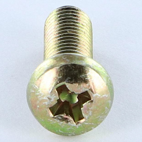 1 x Vis m-hastighed panhoved Pozi PZ9 M6X38 Pozi PZ8 200 timers saltspray gul zink
