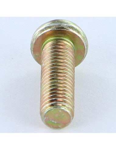 1 x Vis m-hastighed panhoved Pozi PZ9 M6X38...