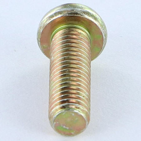 1 x Vis m-hastighed panhoved Pozi PZ9 M6X38 Pozi PZ8 200 timers saltspray gul zink