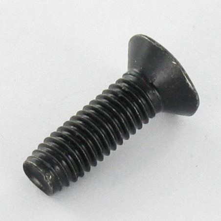 1 x Elvskærende skrue forsænket hoved 5X16 T25 sort galvaniseret