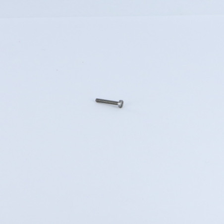 1 x Vis m-hastighed panhoved kærv M1.6X4 Rå stål mikroskruer