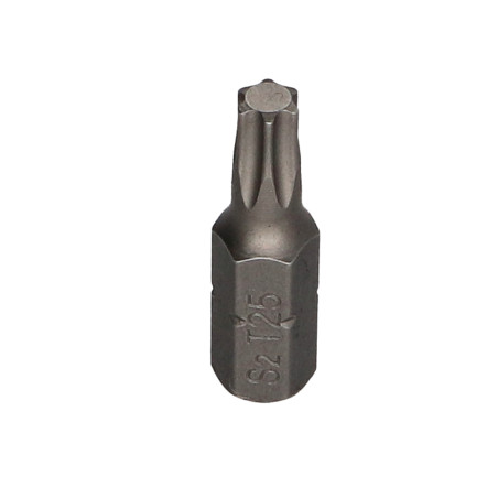 1 x Bit T25 FIZOMAX