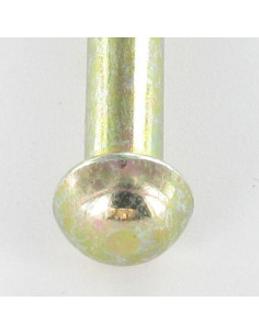 Massiv nitte rundt hoved 3,5X11,5 gul zink 2
