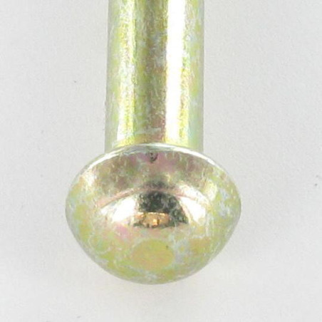 1 x Massiv nitte rundt hoved 3,5X11,5 gul zink