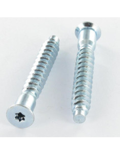 Selvskærende skrue forsænket hoved TORX 7X50 SS med...