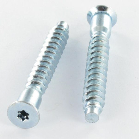 1 x Selvskærende skrue forsænket hoved TORX 7X50 SS med takker elforzinket stål T20