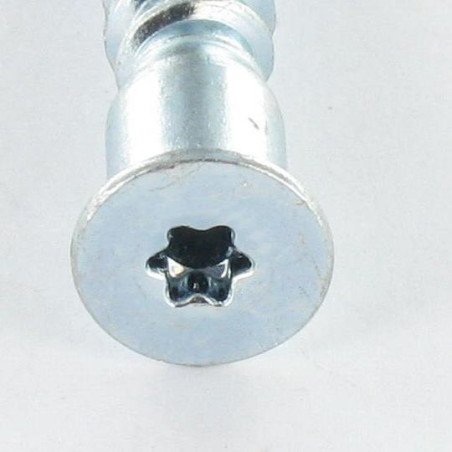 1 x Selvskærende skrue forsænket hoved TORX 7X50 SS med takker elforzinket stål T20
