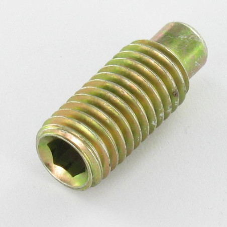 1 x Vis m-hastighed uden sekskantet fatning M14X30 Sekskantet fatning 6 cylindrisk ende gul zink