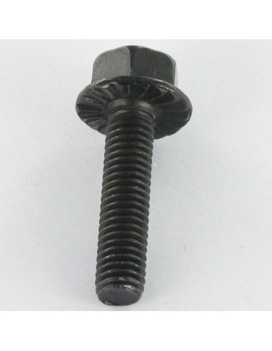 1 x Vis m-hastighed Sekskantet hoved M6X16 sort...