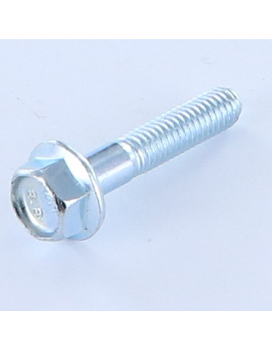 1 x Vis m-hastighed Sekskantet hoved M6X30...