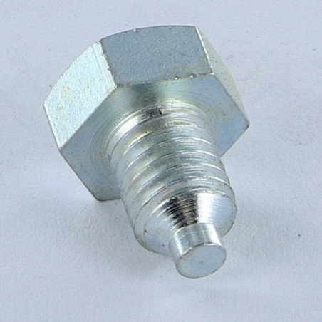 1 x Vis m-hastighed Sekskantet hoved M8X12 Cylindrisk ende Cylindrisk ende elforzinket stål