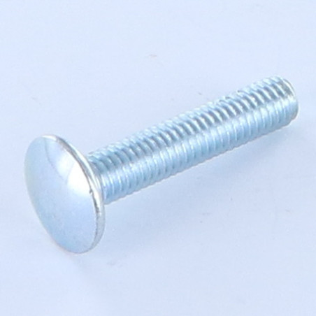1 x Vognbolt M6X20 Lavt slag 1,5 Hoveddiameter 13,5 Klasse 8.8 elforzinket stål