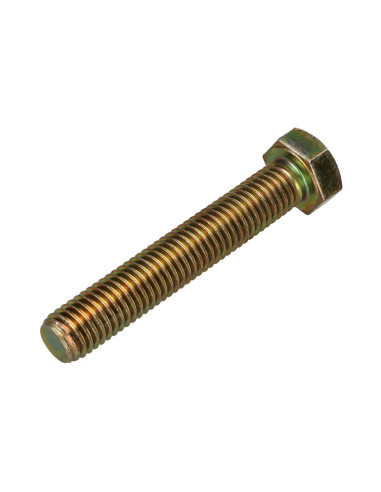 1 x Vis m-hastighed Sekskantet hoved M12X70...