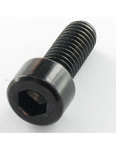 1 x Vis m-hastighed Fatningshoved M5X20 Fuld...
