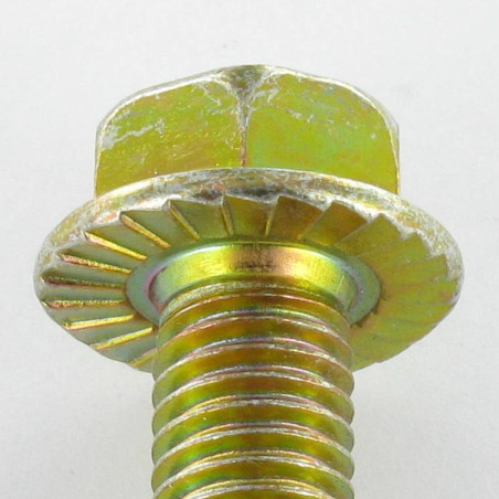 1 x Vis m-hastighed Sekskantet hoved M6X8 Flange med hakket krave Klasse 8.8 gul zink