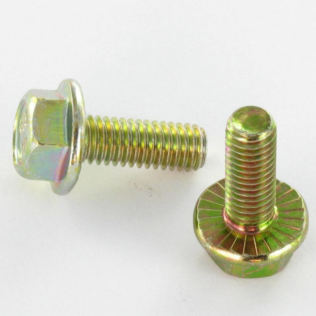 1 x Vis m-hastighed Sekskantet hoved M6X8 Flange med hakket krave Klasse 8.8 gul zink