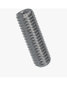 Vis m-hastighed uden hoved T10 hul ende M5X8 elforzinket...