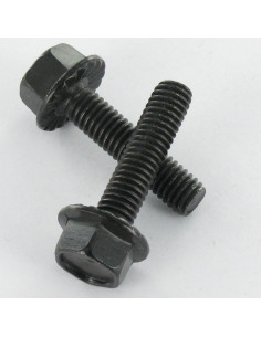 Vis m-hastighed Sekskantet hoved M6X12 sort galvaniseret...