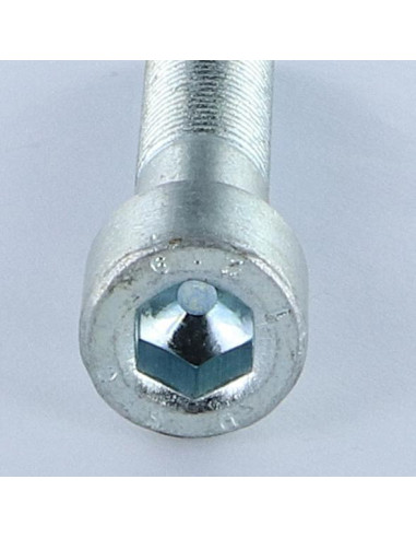 1 x Vis m-hastighed Fatningshoved M20X120...