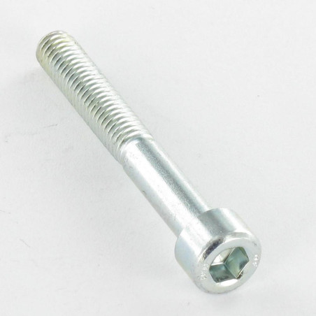 1 x Vis m-hastighed Fatningshoved M20X70 Gevind 52 Klasse 8.8 Sekskantet fatning 17 elforzinket stål