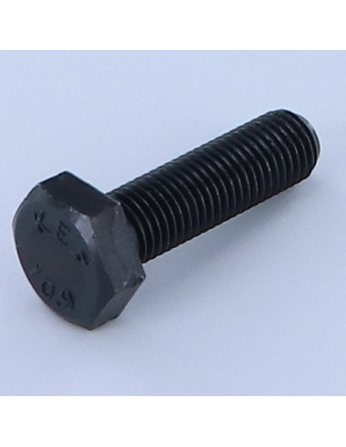 1 x Vis m-hastighed Sekskantet hoved M12X30...