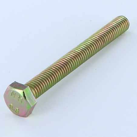 1 x Vis m-hastighed Sekskantet hoved M6X60 Klasse 8.8 gul zink