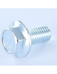 Vis m-hastighed Sekskantet hoved M12X35 Flange med hakket...