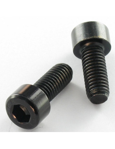 1 x Vis m-hastighed Fatningshoved M6X30 Fuld...