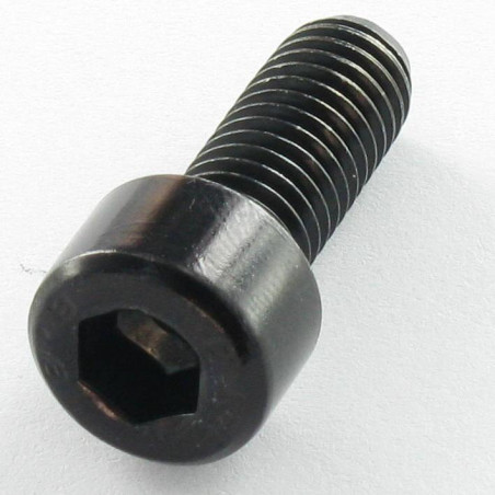 1 x Vis m-hastighed Fatningshoved M6X30 Fuld trÃ¥d Klasse 8.8 Sekskantet fatning 5 sort galvaniseret