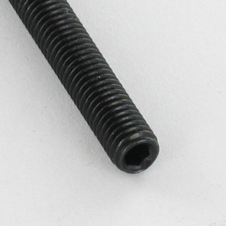 1 x Vis m-hastighed uden sekskantet fatning Sekskantet fatning 2 M4X5 spids ende sort galvaniseret