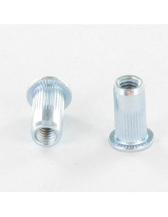 Blindnittemøtrikker faldt hived M6X18 ACPC50 elforzinket...