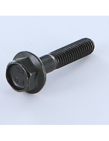 1 x Vis m-hastighed Sekskantet hoved M6X30...
