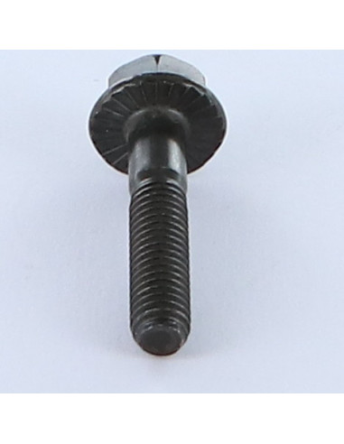 1 x Vis m-hastighed Sekskantet hoved M6X30...