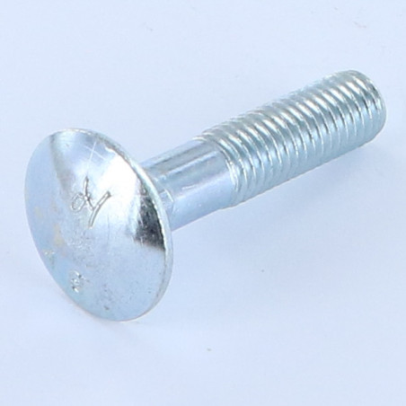 1 x Vognbolt M10X45 delvis gevind Klasse 8.8 elforzinket stål