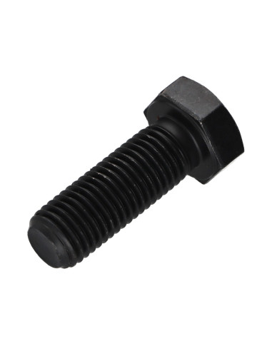 1 x Vis m-hastighed Sekskantet hoved M16X55...