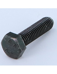 Vis m-hastighed Sekskantet hoved M6X14 Klasse 8.8 sort...