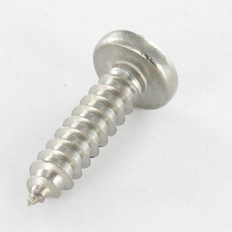 1 x Gevindvalse skrue panhoved Firkantet 4,2X16 Firkant 2 Rustfrit stål A2