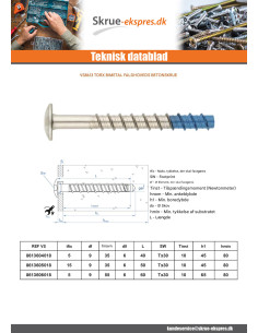 Skrue til beton hoved Pan hoved TORX T30 6X40 Bimetal 2