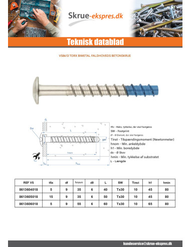 1 x Skrue til beton hoved Pan hoved TORX T30...