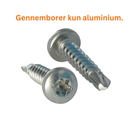 1 x Selvborende skrue panhoved T15 3,9X16 Rustfrit stål A2