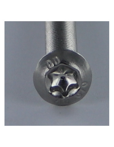 1 x Vis m-hastighed hoved Pan hoved T40 M8X10...