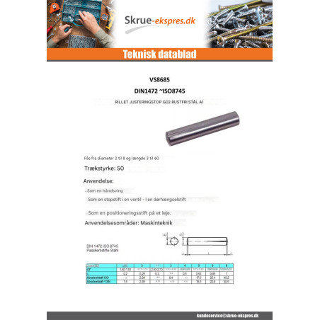 1 x Rillet stift G02 Rustfrit stål 2X10