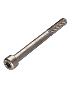 Vis m-hastighed panhoved T50 Rustfrit stål A2 M10X100...