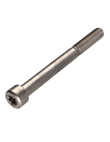 1 x Vis m-hastighed panhoved T50 Rustfrit stål...