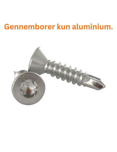 1 x Selvborende skrue Rustfrit stål A2...