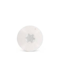 Facade skruer T20 4,8X38 Hoveddiameter 12.3 Rustfrit stål... 2
