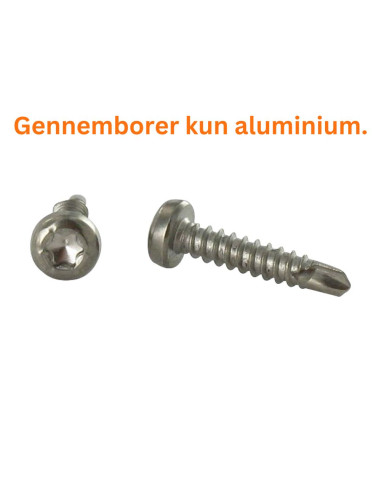 1 x Selvborende skrue panhoved T15 3,9X19...