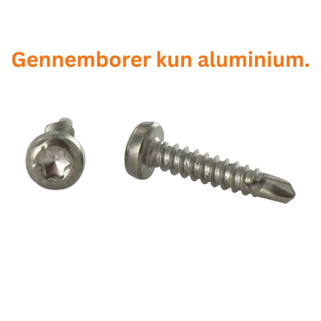1 x Selvborende skrue panhoved T15 3,9X19 Rustfrit stål A4