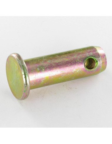 1 x Akse Stift perforeret fladt hoved 22X66HULL...