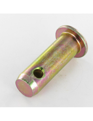1 x Akse Stift perforeret fladt hoved 22X66HULL...
